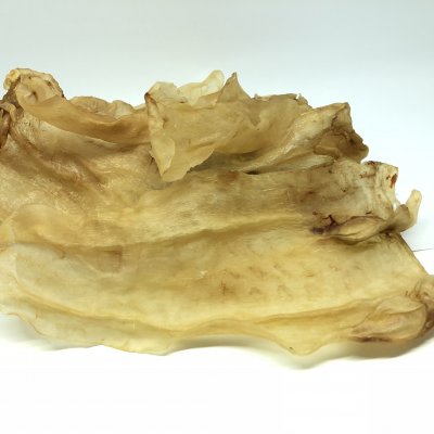 Fish Maw 鱼鳔 - Corvina Fish Maw 科尔维纳鱼鳔 (500g/Pkt)